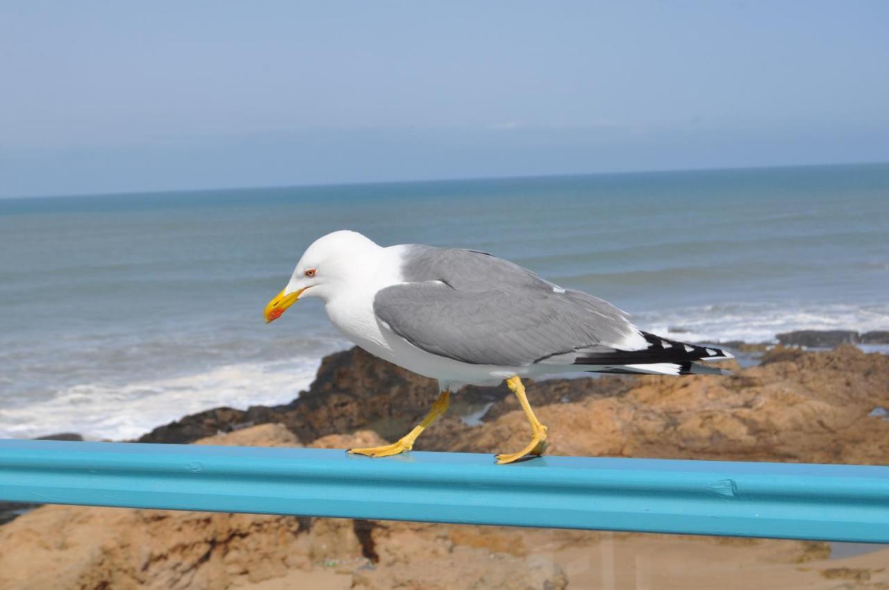 Kafila Gasthof Essaouira